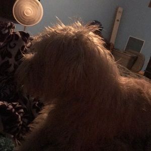 Meet your Posher, Guillermo